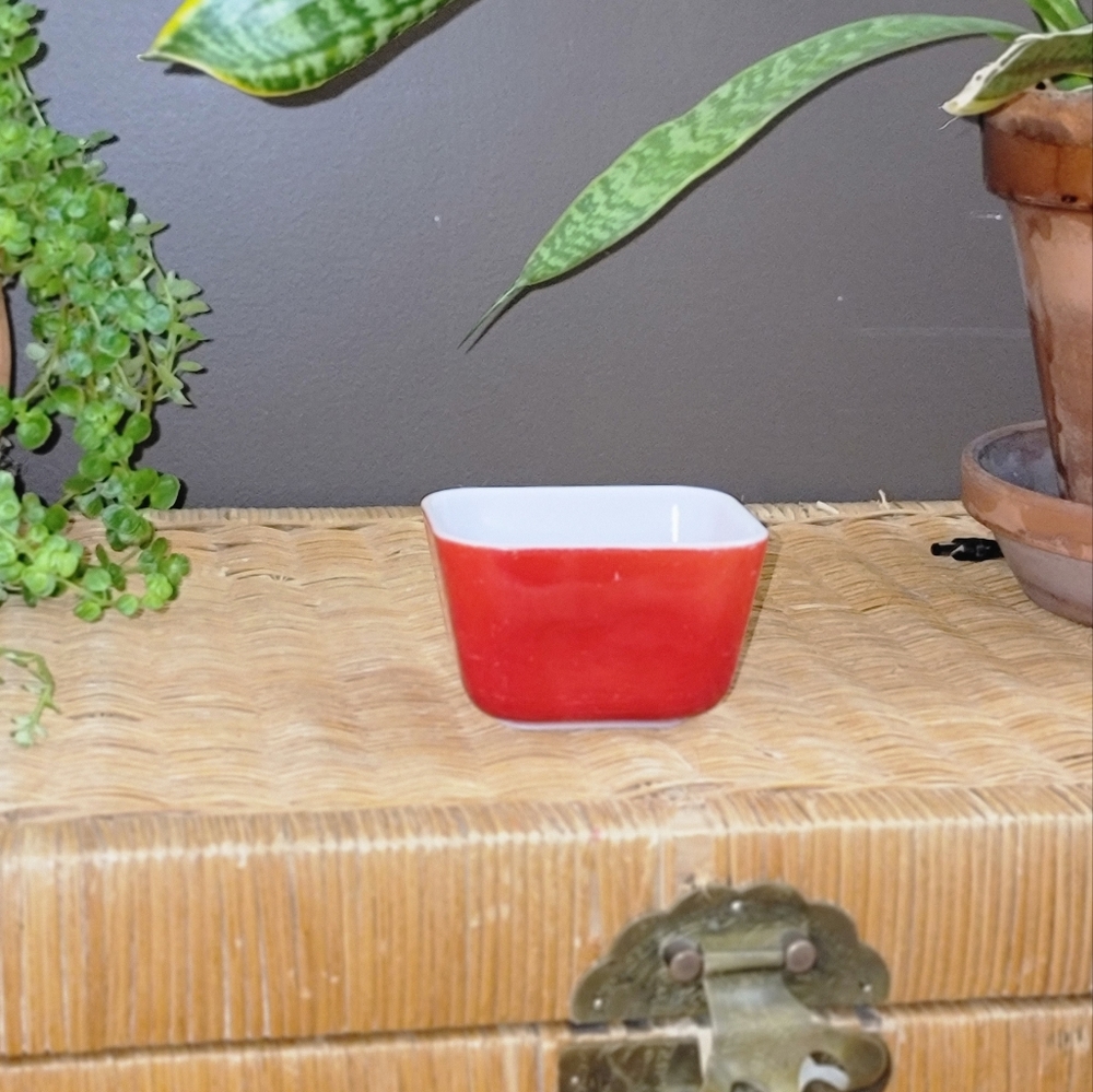 [Pyrex] Red 501